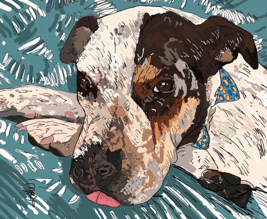 Katie the Artist pet portraits Brisbane, commissions