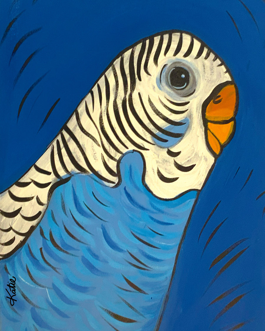 'Blue Budgie' Paper Print